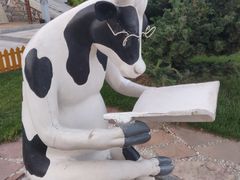 -君乐宝优致牧场