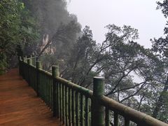 -塔云山