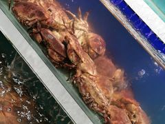 -盒马鲜生(红莲店)