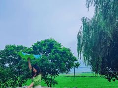 -村上春树