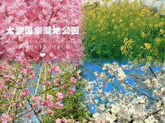 -苏州太湖国家湿地公园