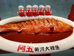 -阿五黄河大鲤鱼(英协路店)