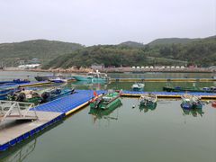 -东澳岛