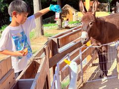 -HERRE·FARM 赫尔露营农场·团建聚会包场