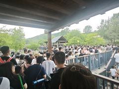 -石家庄市动物园