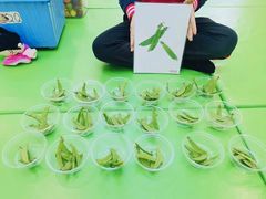 -全优加早教托育园(广百新一城店)