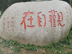 -峨眉山报国寺