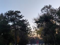 -万泉公园