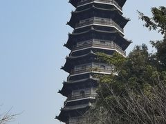 -重庆园博园