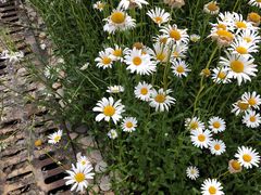 -江苏省苏州实验中学