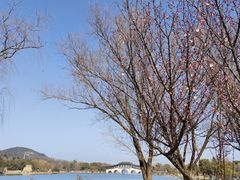 -长广溪湿地公园