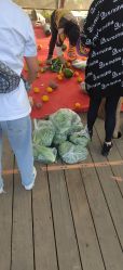 -前小桔亲子创意农场·草莓采摘·露营烧烤