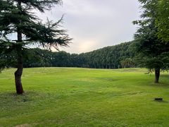-河南省黄河迎宾馆