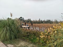 -白鹭湾湿地公园