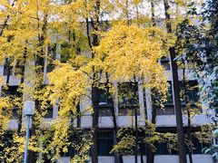 -四川大学(望江校区)
