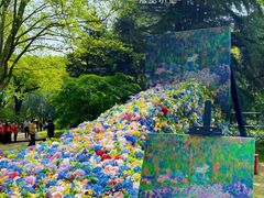 -上海共青森林公园