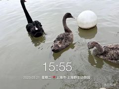-上海野生动物园