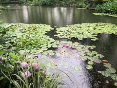 -浙江西子宾馆·瑶园咖啡厅