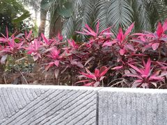 android_upload_pic-龙达温泉生态城