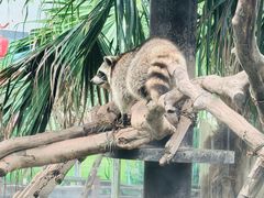 -灵玲国际马戏城