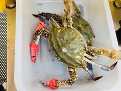 -渔民船说·北塘海鲜·天津菜·海肠捞饭(北塘古镇店)