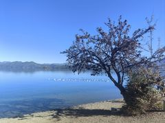 -丽江泸沽湖景区