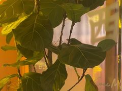 -桂满陇·手作小笼包&江南叫花鸡(中山公园店)