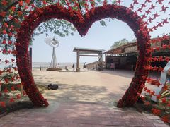 -北海金海湾红树林生态旅游区