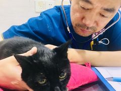 -哆趣宠物医院·眼科·内镜·急重症转诊中心(上海店)