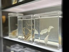 -上海当代艺术博物馆
