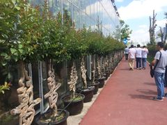 -南通洲际绿博园