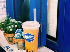 -milkplus·泰式奶茶(较场东路店)