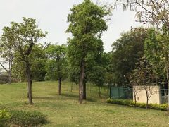 -海珠儿童公园