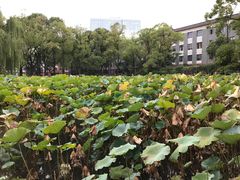 -四川大学(望江校区)