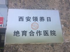 -佳怡动物医院·平价24小时·猫专科骨外科