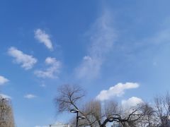 -长春公园(普阳街道)