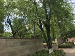 -眉山湿地公园(东坡区)