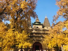 -北京石刻艺术博物馆(五塔寺)