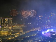 -新加坡瑞士史丹福酒店