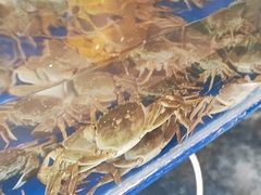 -阳澄湖大闸蟹·琼灵阁牌品牌连锁(吴中总店)