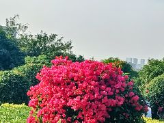-立新湖公园