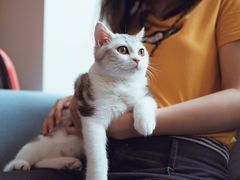 -爱妮康宠物医院·干细胞免疫细胞·肿瘤·心脏(张江店)