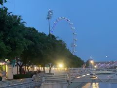 -新加坡摩天观景轮