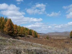 -塞罕坝国家级自然保护区