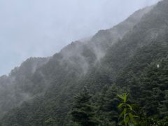 -苍山感通索道