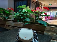 -城南老友羊蝎子火锅(花乡奥莱店)