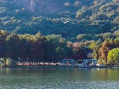 -长广溪湿地公园