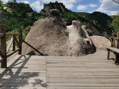 -大岭沟猕猴桃谷风景区