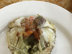 -春华海鲜城(广场西苑店)
