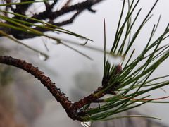 -三清山希尔顿度假酒店